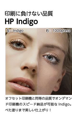 Ingidoの写真